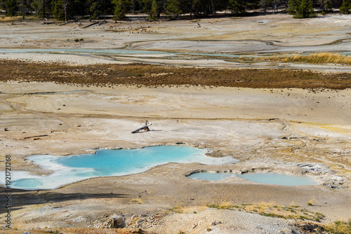 Lewis Mud Pots hot spring in Porcelain Basin, part of the Norris Geyser Basin in Yellowstone National Park, Wyoming, USA