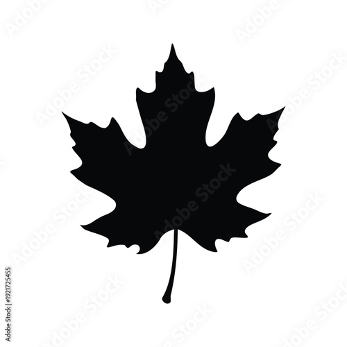 sycamore leaf silhouette vector illustration, Maple leaf silhouette vector illustration for canadian flag and autumn design