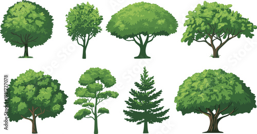 Mixed tree vector set, eight detailed deciduous and conifer illustrations, leafy oaks, maples, pines and ornamental shapes for landscape, park and garden designMixed tree vector set, eight