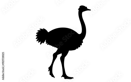 Black ostrich silhouette  different poses, standing, walking, running, bending neck position silhouette vector