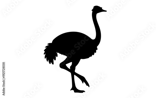 Black ostrich silhouette  different poses, standing, walking, running, bending neck position silhouette vector