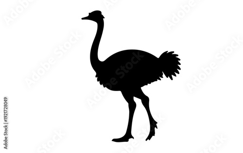 Black ostrich silhouette  different poses, standing, walking, running, bending neck position silhouette vector