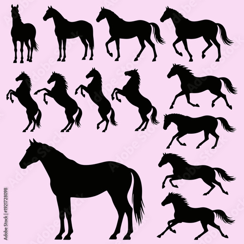 Running and Rearing Horse Silhouette Set Vector Illustration