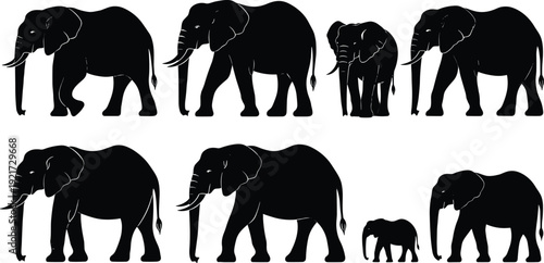 Elephant Silhouette Collection Featuring Adult and Baby Elephants in Different Walking Poses Isolated on White Background