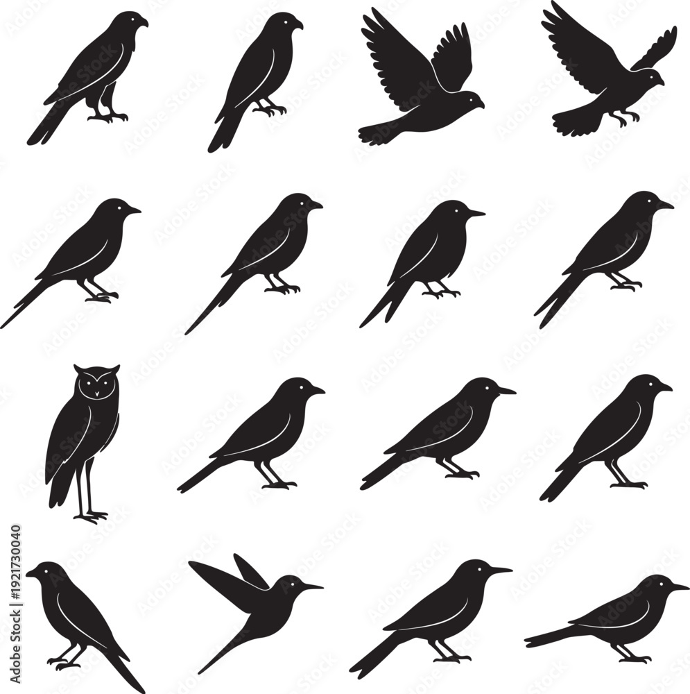 Fototapeta premium Black silhouettes of various birds on white background also transparent background sparrows