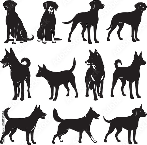 Black silhouettes of various dog breeds standing and sitting on white background also transparent background