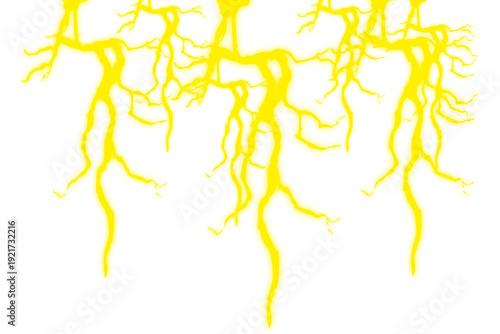 Konstfotografi Bright Yellow Tree Roots Abstract Pattern.