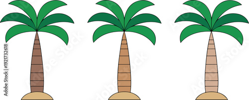 Cartoon Palm Tree Vector Set  Tropical Beach Plants and Island Vibes