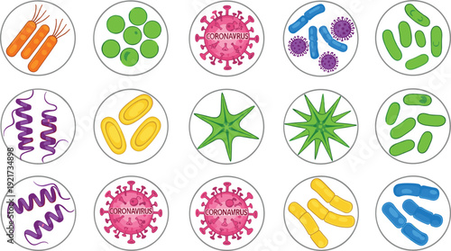 Comprehensive virus and bacteria morphology set with Coronavirus and bacilli