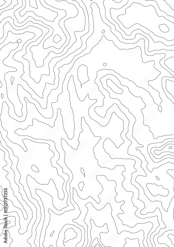 Obraz premium Curvas de nivel sobre fondo blanco. Mapa Topográfico 