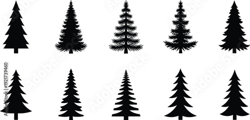 Silhouette vector illustration of ten different pine trees arranged in rows showing variety of conifer shapes botanical design nature forest concept artwork