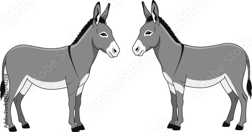 Side View of Two Gray Donkey Vector Illustrations Facing Each Other Showing Farm Animal Characteristics Isolated on White Background for Rural Design Projects