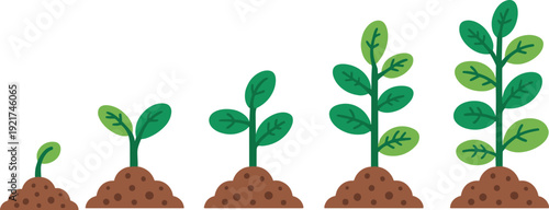 Five stages of green plant growth emerging from brown soil mounds leaves