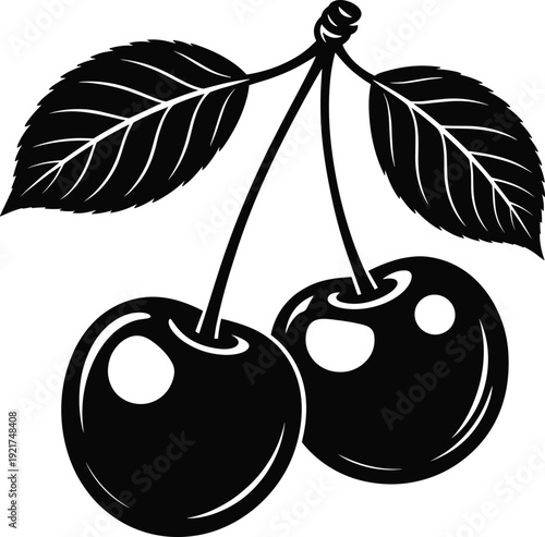 Two black cherries with stems and leaves on a white background fruit