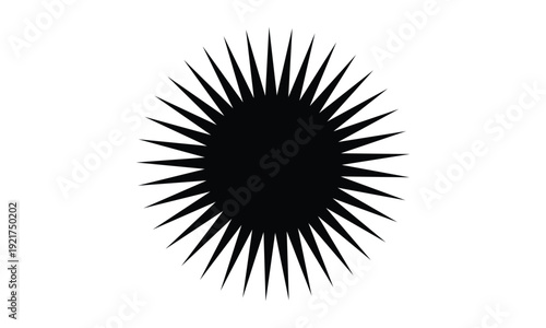 abstract black sun shape design.