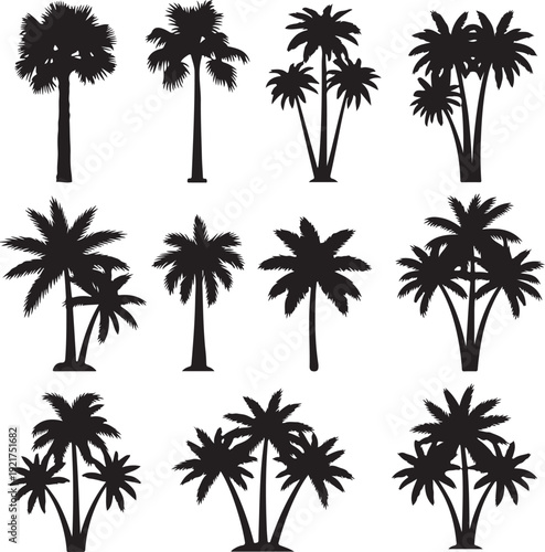 Collection of various black palm tree silhouettes on transparent background