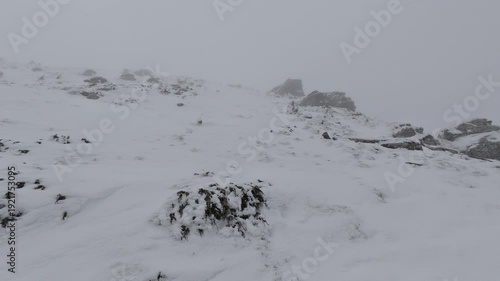 Misty Winter Mountain Slope