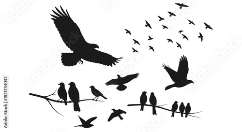 Eagle and Flock of Birds Silhouettes Flying and Perched on Branches