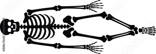 A black silhouette of a human skeleton lying in a supine position