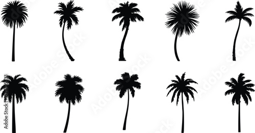 Ten black silhouette palm trees with varying shapes and orientations on a white background