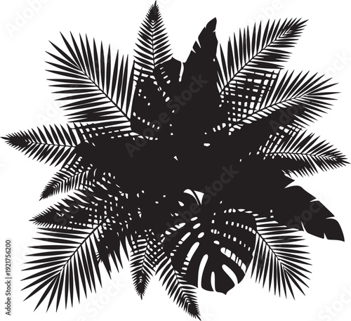 Tropical palm leaves and branches silhouetted together in a decorative arrangement