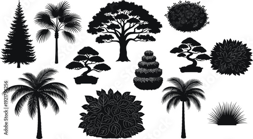 Tree palm pine and bonsai silhouette collection, ornamental garden plants and bushes set, flat vector illustration