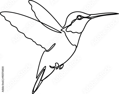 Minimalist continuous line art illustration depicting a delicate hummingbird captured mid-flight with graceful wings spread against a clean white background emphasizing simplicity and form.