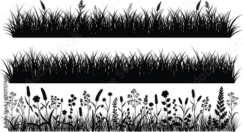 Wild meadow grass border silhouettes set, floral field plants and herbs collection, natural landscape design elements, isolated vector illustration
