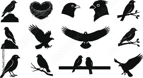 Comprehensive collection of wild bird silhouettes featuring eagles hawks and songbirds perched or in flight for nature conservation and wildlife education