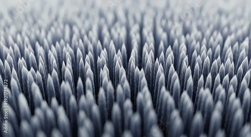 Close-up of dense, pointy microscopic structures creating textured surface.
