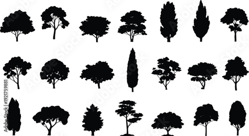Collection of black silhouette of various trees with different shapes and sizes nature