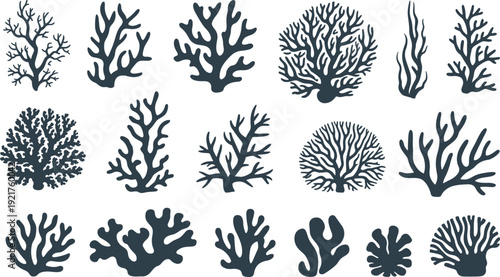 Collection of various types of coral in dark blue color on a white background marine life underwater
