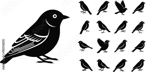 Black farm animal silhouette set with cattle, bull, cowboy on horse, birds, livestock icons for rural agricultural branding by flavector.