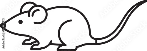 Rat Vector Illustration Rodent Animal Isolated.