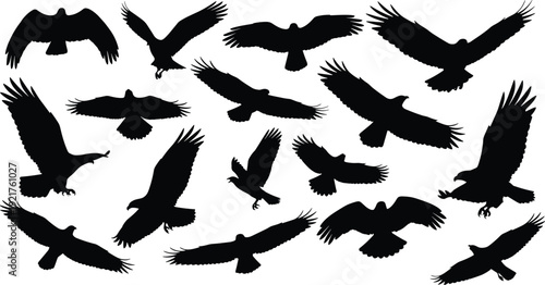 Eagle silhouettes set, majestic birds of prey flying in dynamic wing positions isolated on white background vector illustration