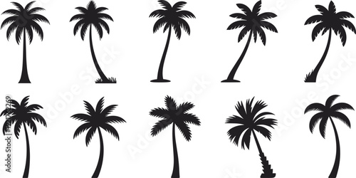 Ten black palm trees with different shapes and orientations on a white background silhouette tropical