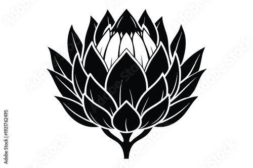 protea silhouette line art vector illustration