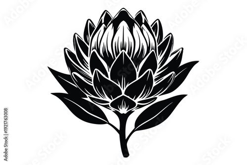 protea silhouette line art vector illustration