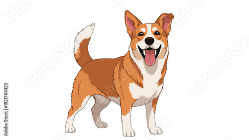 Happy corgi dog with a tan and white coat stands proudly with its tongue out and ears perked up, showcasing its friendly and energetic personality.