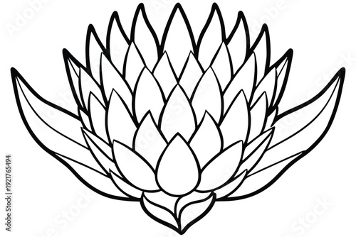 protea silhouette line art vector illustration
