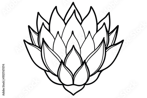 protea silhouette line art vector illustration