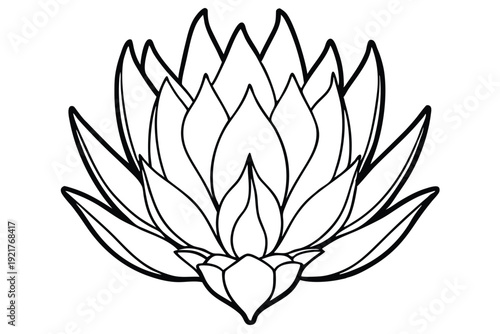 protea silhouette line art vector illustration