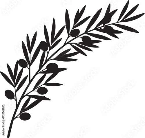 Olive branch silhouette vector illustration with leaves and fruits isolated on background
