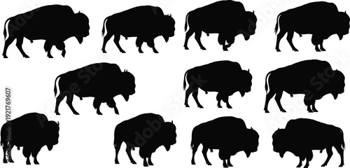 PrintBlack Buffalo and Bison Silhouette Collection Isolated on White Background, Wild American Buffalo Poses for Western Wildlife Conservation, Safari Adventure and Rustic Nature Graphics