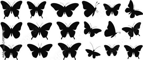 Black Butterfly Silhouette Vector Set Featuring Various Species and Wing Positions Isolated on White Background for Nature and Spring Season Graphic Design Projects