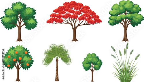 Vector illustration of seven different trees and plants, orange fruit tree, palm tree, red foliage, grass, botanical comparison, educational landscape concept