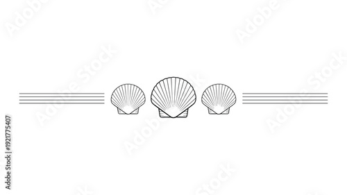 Three keywords: black line scallop shells centered between horizontal lines ocean marine