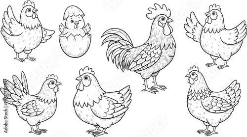 Hand Drawn Chicken and Rooster Sketch Set with Hatching Chick Farm Poultry Black and White Line Art Vector Illustration