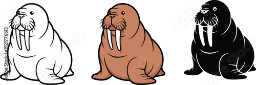 Walrus illustrations set flat vector cartoon style arctic marine animal wildlife character design icon branding education print