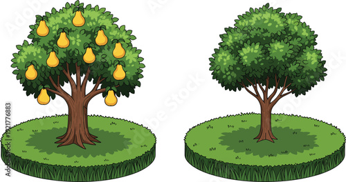 Vector illustration of two trees on grassy platforms, one fruit-bearing with yellow pears and one without fruit, educational comparison concept